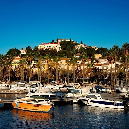 Mimosas * لو لا فاندو